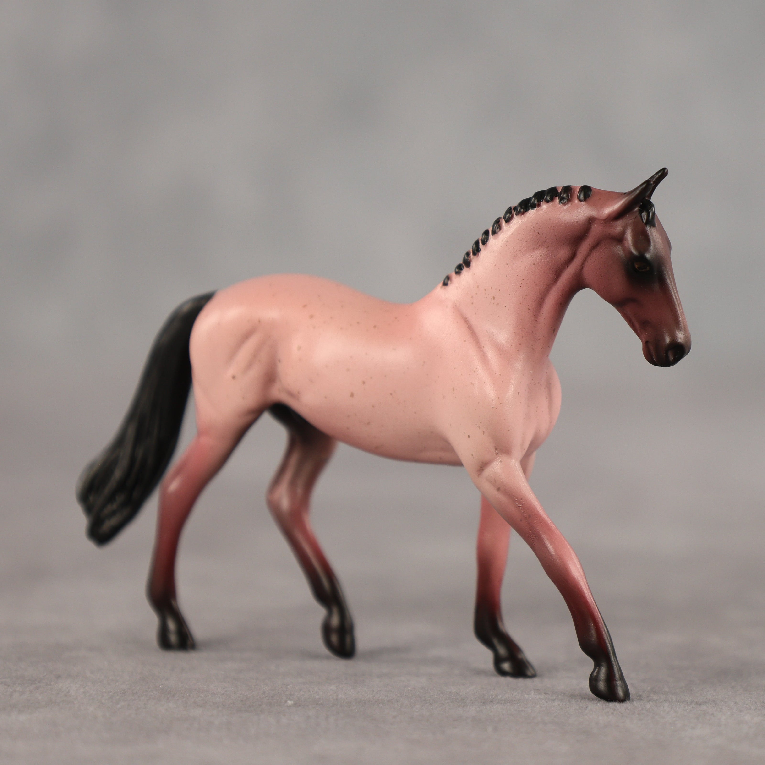 Adzuki OOAK Chip Warmblood by Alex Fortman SCD26
