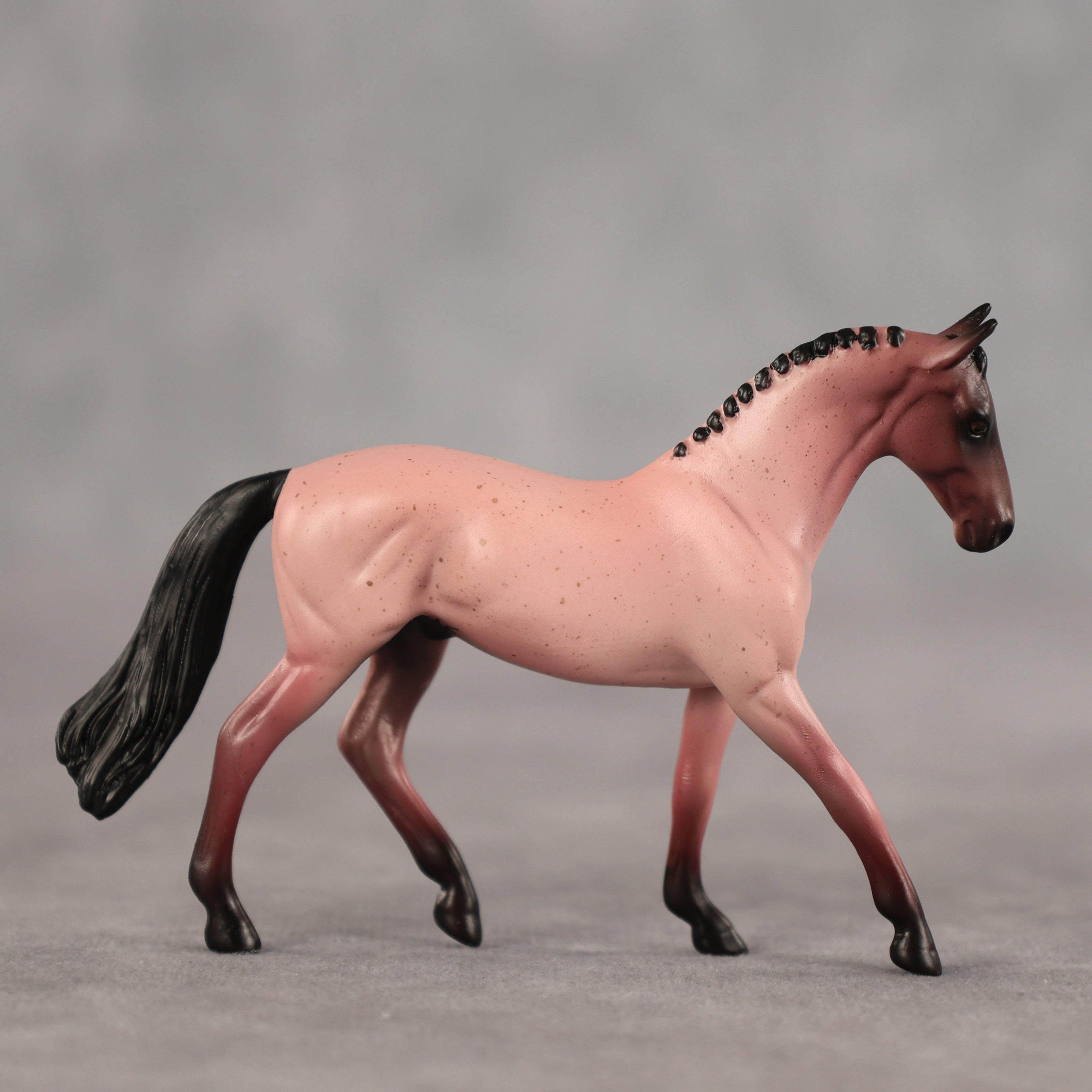 Adzuki OOAK Chip Warmblood by Alex Fortman SCD26