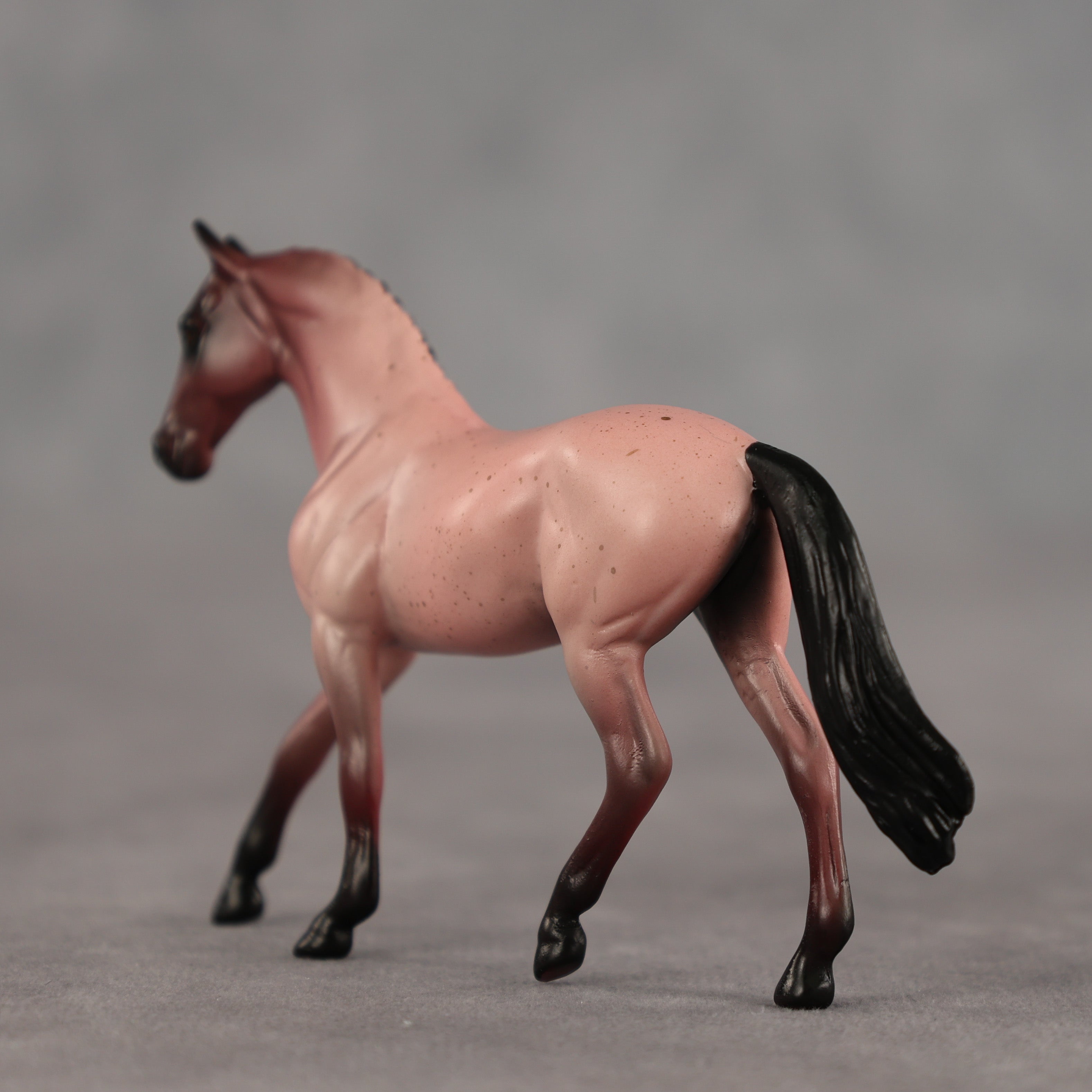 Adzuki OOAK Chip Warmblood by Alex Fortman SCD26