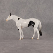 Aldebaran OOAK Chip Stock Horse by Ellen Robbins SCD26