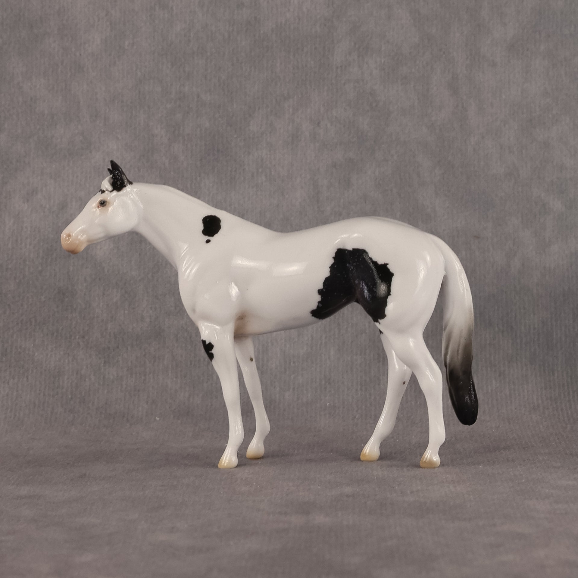 Aldebaran OOAK Chip Stock Horse by Ellen Robbins SCD26