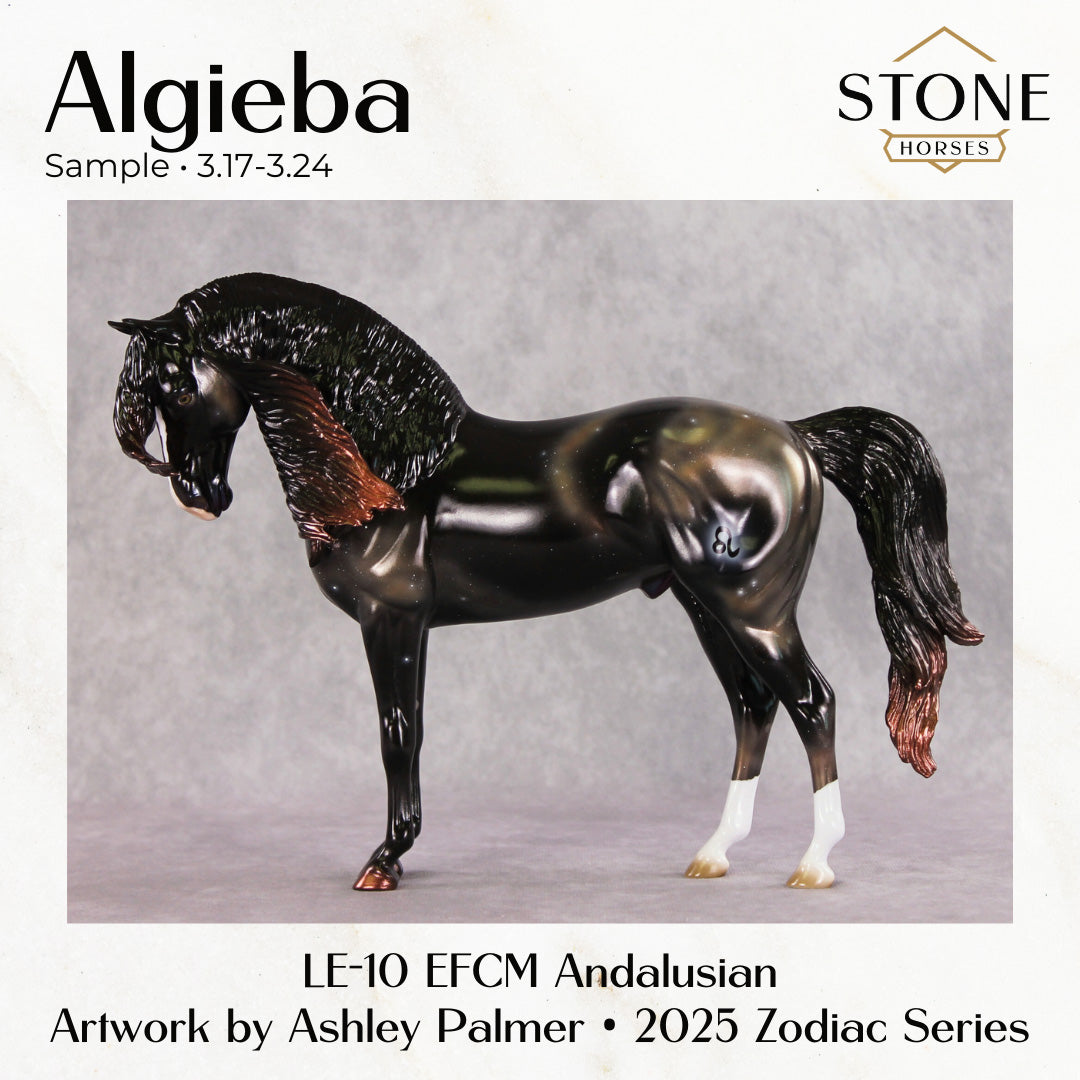 SAMPLE Algieba LE-10 EFCM Andalusian by Ashley Palmer SS0326