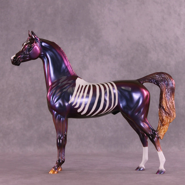 All Alone OOAK Arabian Stallion by Erin Corbett MM25 Group C