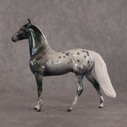Almach OOAK Chip Morgan by Ellen Robbins SCD26
