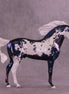 Almost Midnight OOAK FCM Andalusian by Ellen Robbins HS25