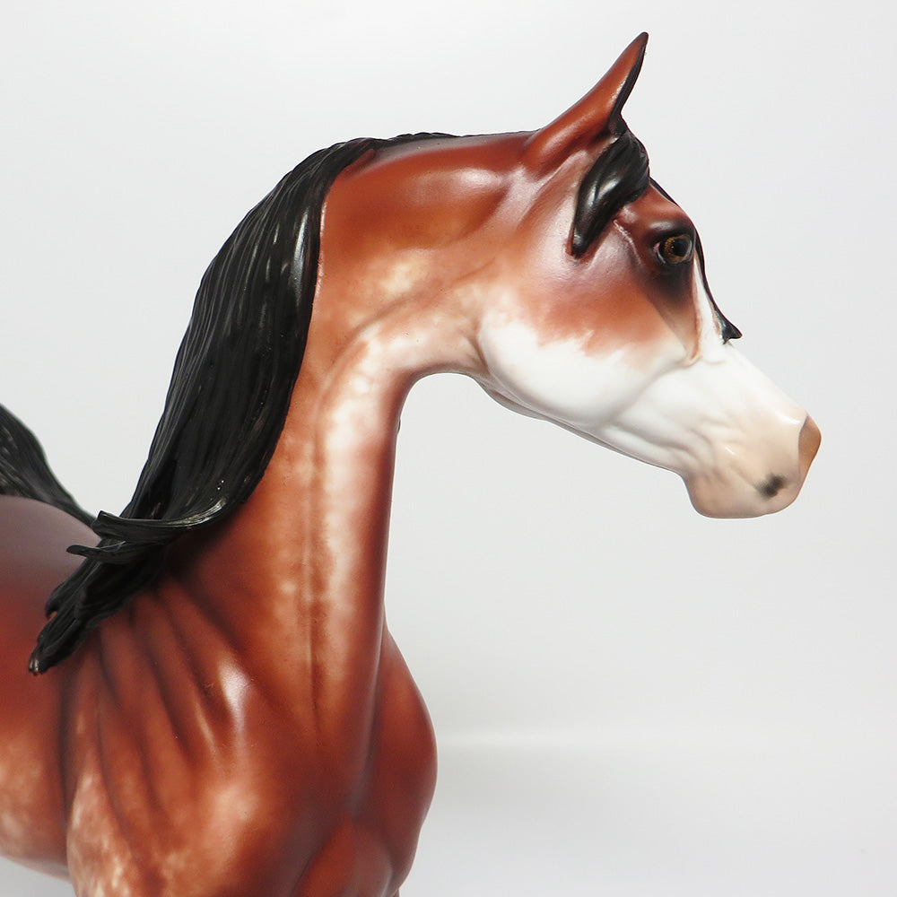 AMERICAN ICON~OOAK BAY SABINO ARABIAN MODEL HORSE BY SHERYL LEISURE EQ 2017