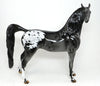 ANGEL WINGS - OOAK APPALOOSA ARABIAN MODEL  HORSE - 3/16