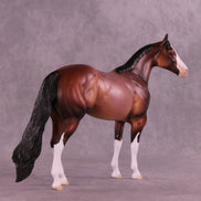 Apéritif OOAK Ideal Stock Horse by Dawn Quick HS25