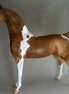 APPLE FRITTER - Champagne Arabian
