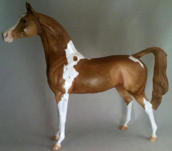 APPLE FRITTER - Champagne Arabian