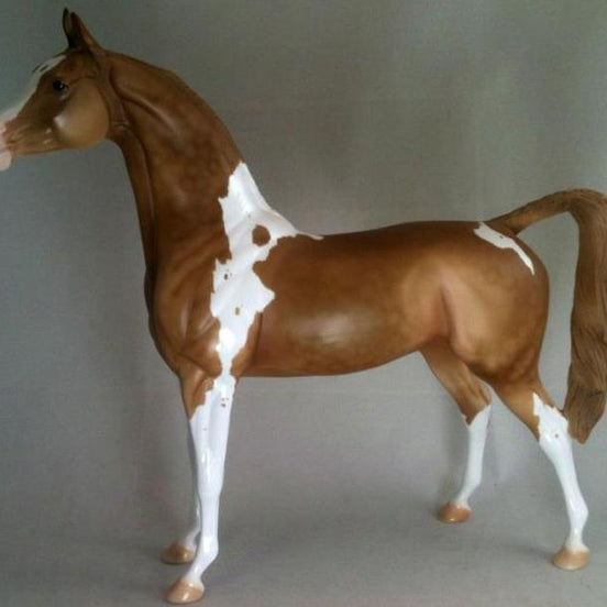 APPLE FRITTER - Champagne Arabian