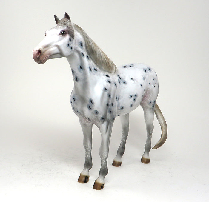 OOAK APPALOOSA MUSTANG 