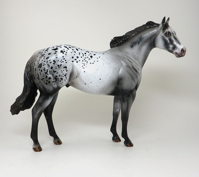OOAK APPALOOSA