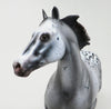 APPALOOSA ISH
