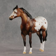 Appy Valentine's Day OOAK FCM Ideal Stock Horse by Dawn Quick VV26