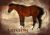 Ariston Model Horse