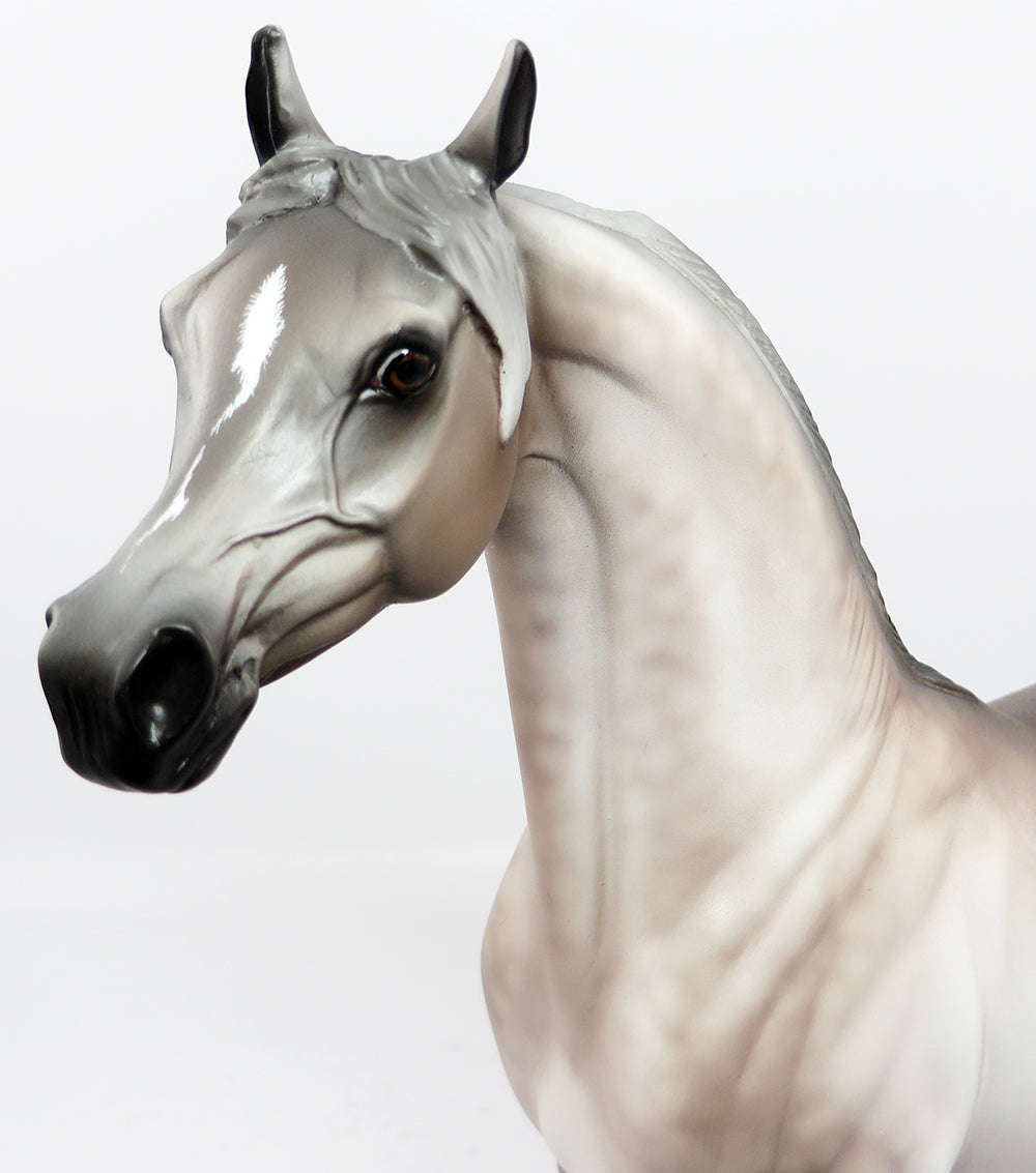 EWAN-OOAK DAPPLE ROSE GREY ARABIAN MODEL HORSE BY SHERYL LEISURE 3/9