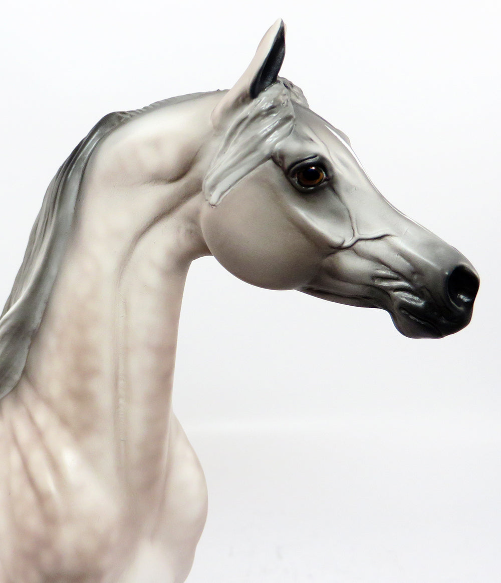 EWAN-OOAK DAPPLE ROSE GREY ARABIAN MODEL HORSE BY SHERYL LEISURE 3/9