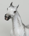 SUKKA - LIMITED EDITION STAR DAPPLE GREY ARABIAN MODEL HORSE by SHERYL LEISURE - LE2 - 1/15