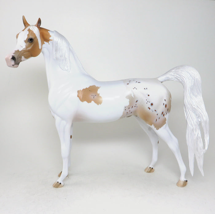 chico pintaloosa arabian model 
