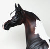 BAY PAINT ARABIAN