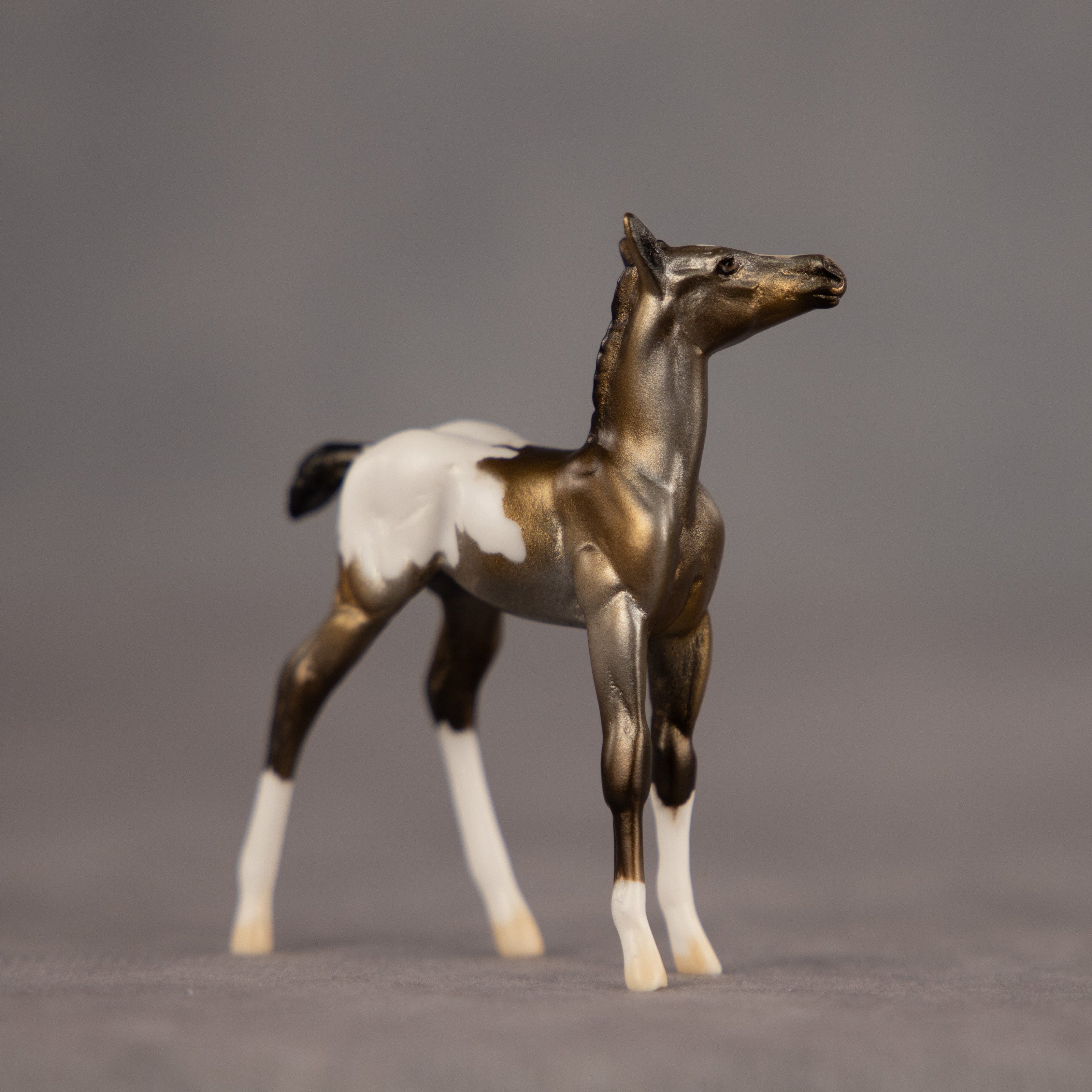Artifact OOAK Chip Foal by Dawn Quick EQ26