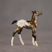 Artifact OOAK Chip Foal by Dawn Quick EQ26