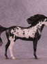 Augustus OOAK FCM Andalusian by Jess Hamill HS25