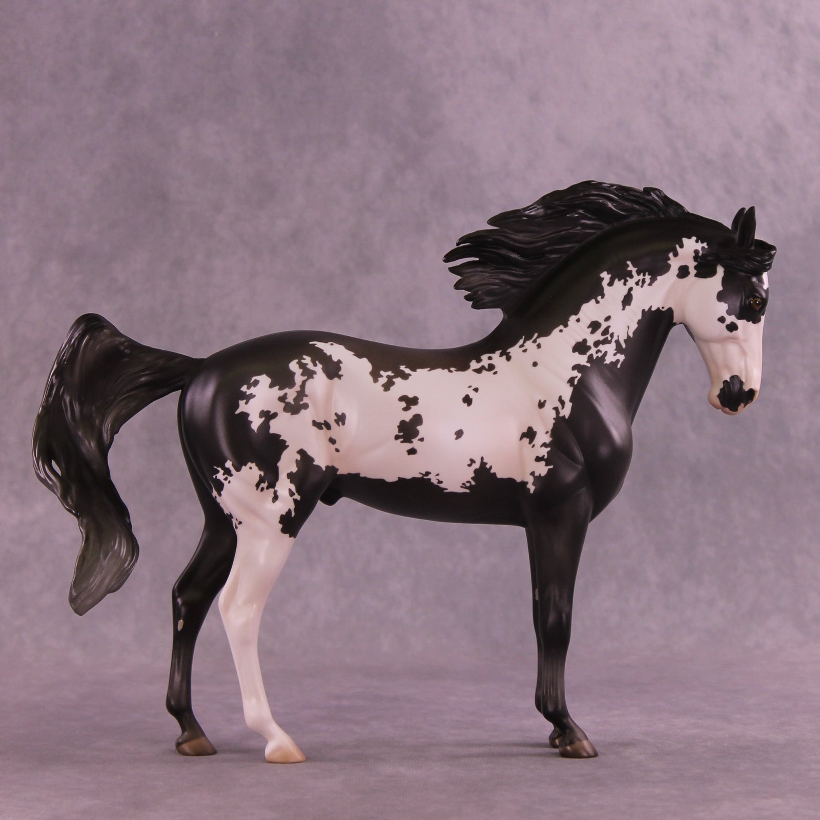 Augustus OOAK FCM Andalusian by Jess Hamill HS25