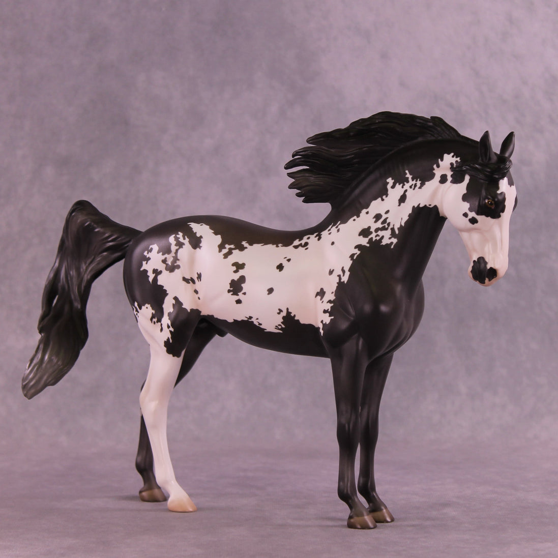 Augustus OOAK FCM Andalusian by Jess Hamill HS25