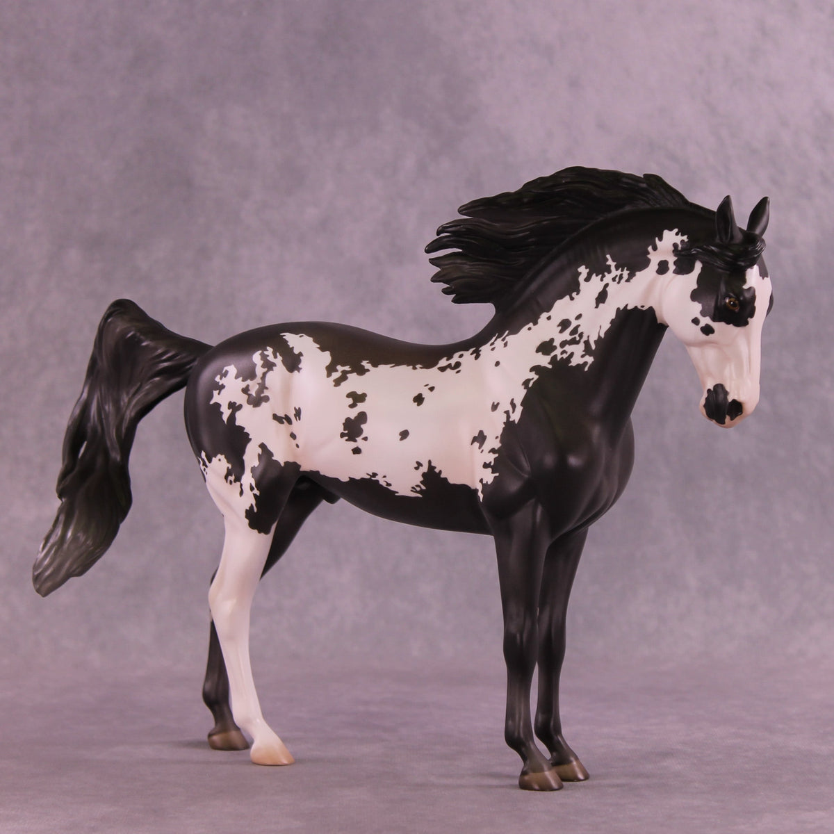Augustus OOAK FCM Andalusian by Jess Hamill HS25