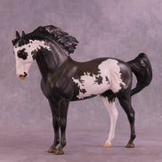 Augustus OOAK FCM Andalusian by Jess Hamill HS25