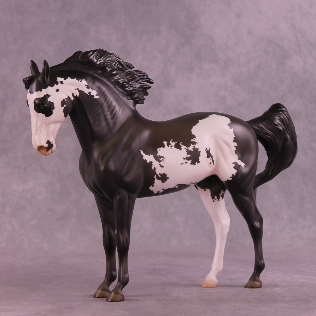 Augustus OOAK FCM Andalusian by Jess Hamill HS25