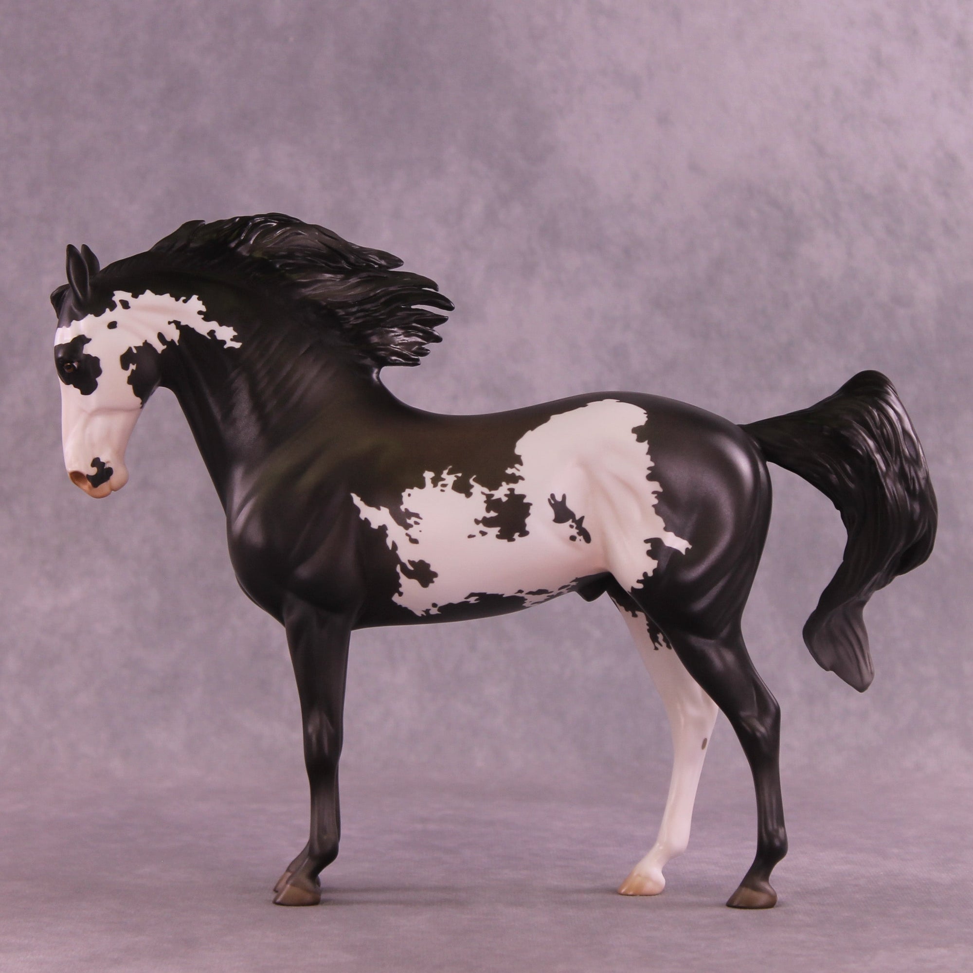 Augustus OOAK FCM Andalusian by Jess Hamill HS25