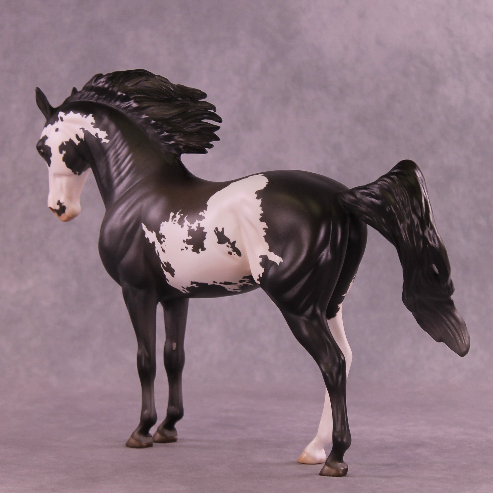 Augustus OOAK FCM Andalusian by Jess Hamill HS25
