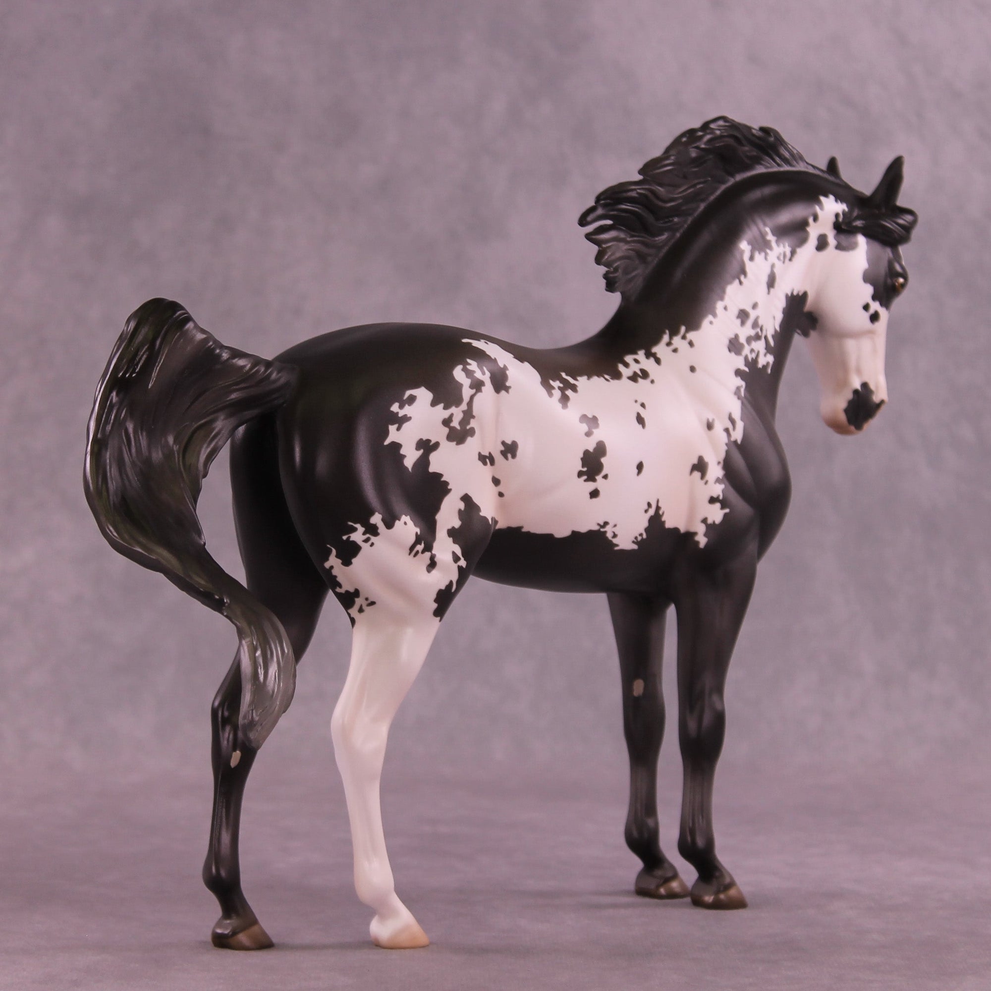 Augustus OOAK FCM Andalusian by Jess Hamill HS25
