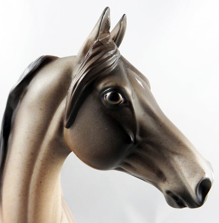 MY AXLE-OOAK RED ROAN MORGAN 7/7