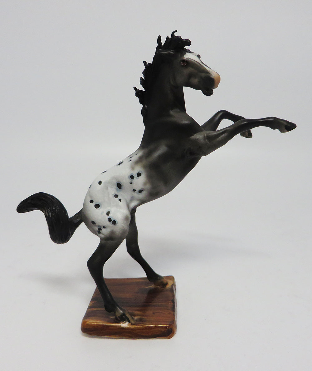 AZTEC-OOAK APPALOOSA REARING CHIP MODEL HORSE BY DAWN QUICK 5/05/17
