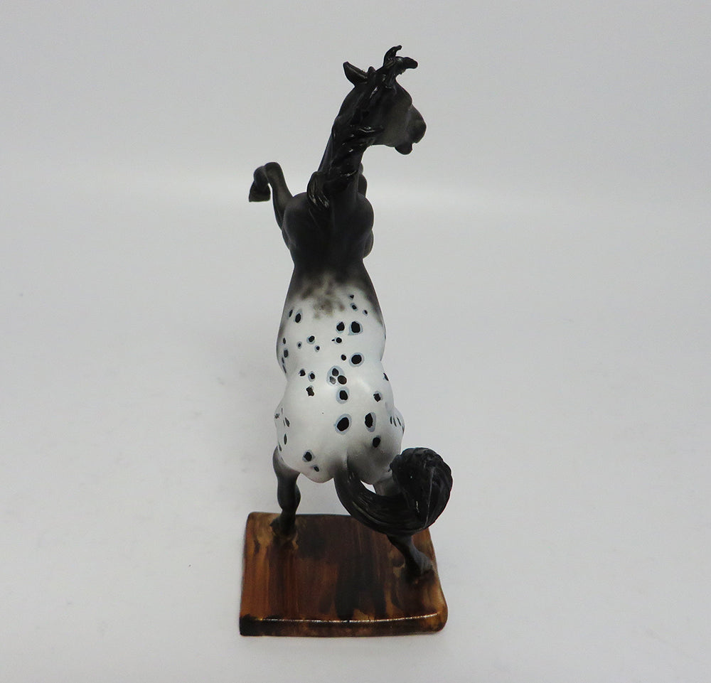 AZTEC-OOAK APPALOOSA REARING CHIP MODEL HORSE BY DAWN QUICK 5/05/17