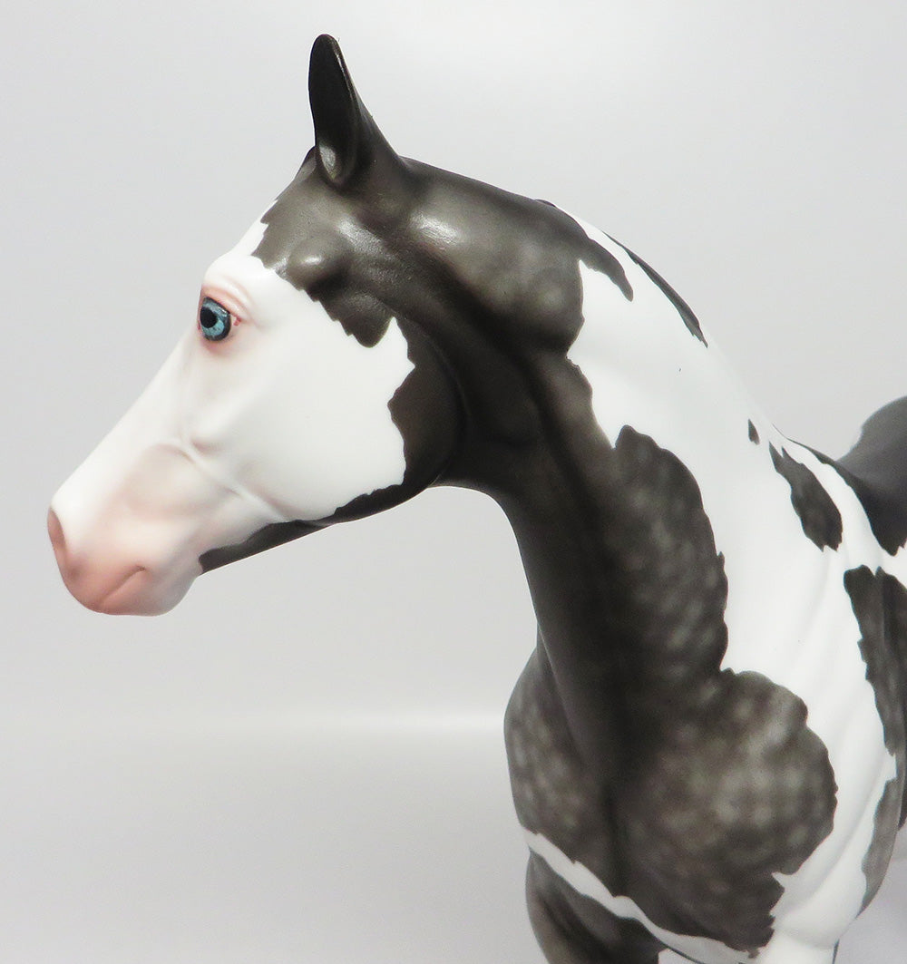 BABY FACE NELSON~OOAK DAPPLE MULBERRY GREY PAINT ISH MODEL HORSE EQ 2017