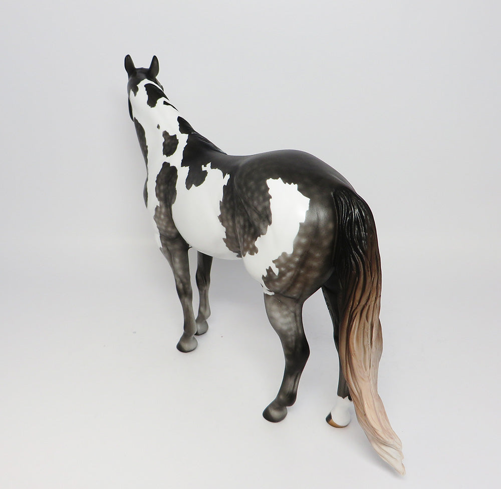 BABY FACE NELSON~OOAK DAPPLE MULBERRY GREY PAINT ISH MODEL HORSE EQ 2017