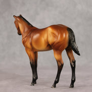 Baby Mine OOAK Stock Horse Weanling by Dawn Quick VV26