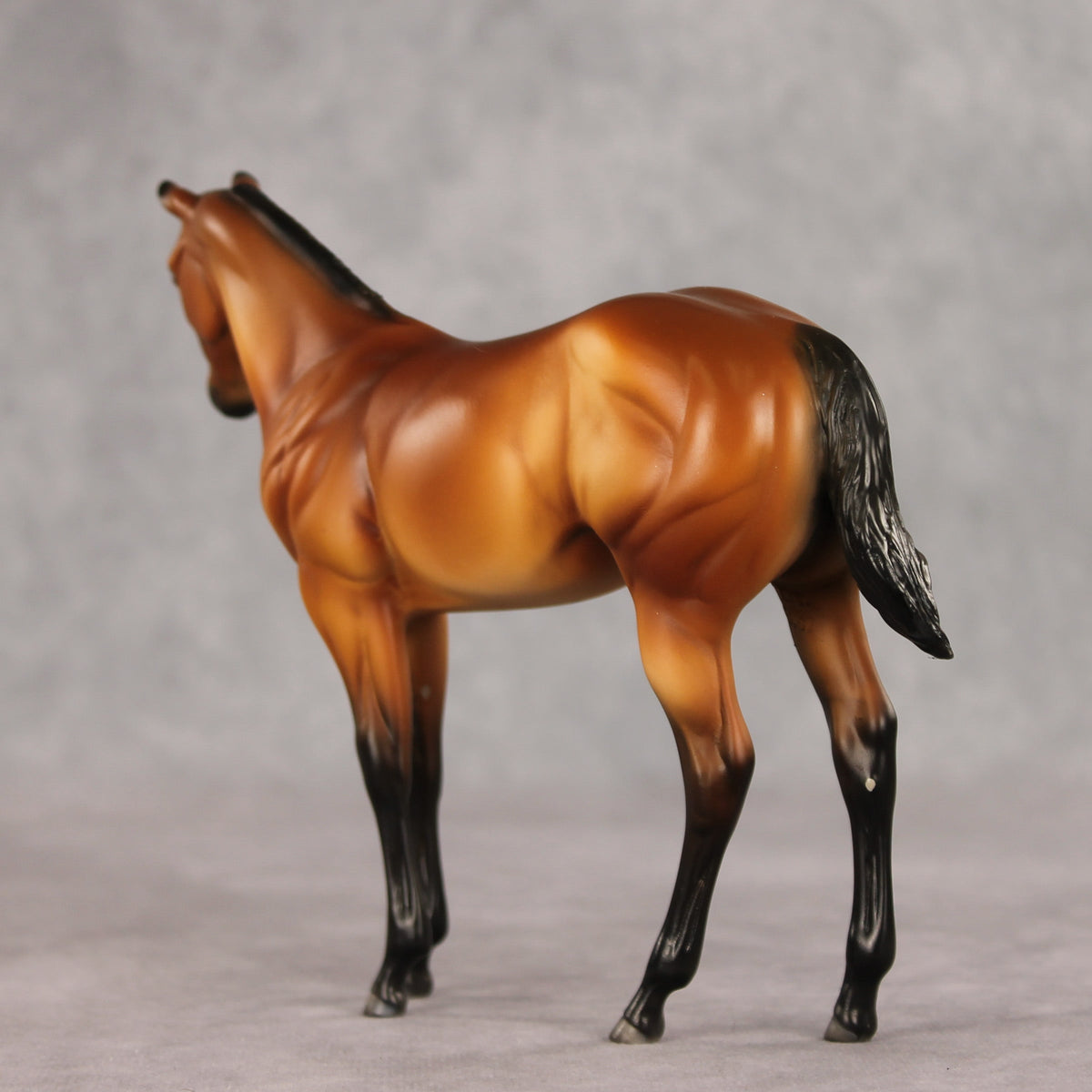 Baby Mine OOAK Stock Horse Weanling by Dawn Quick VV26