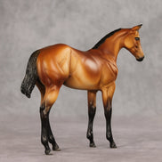 Baby Mine OOAK Stock Horse Weanling by Dawn Quick VV26