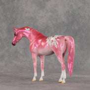 Baddie OOAK Pebble Arabian Mare by Erin Corbett VV26