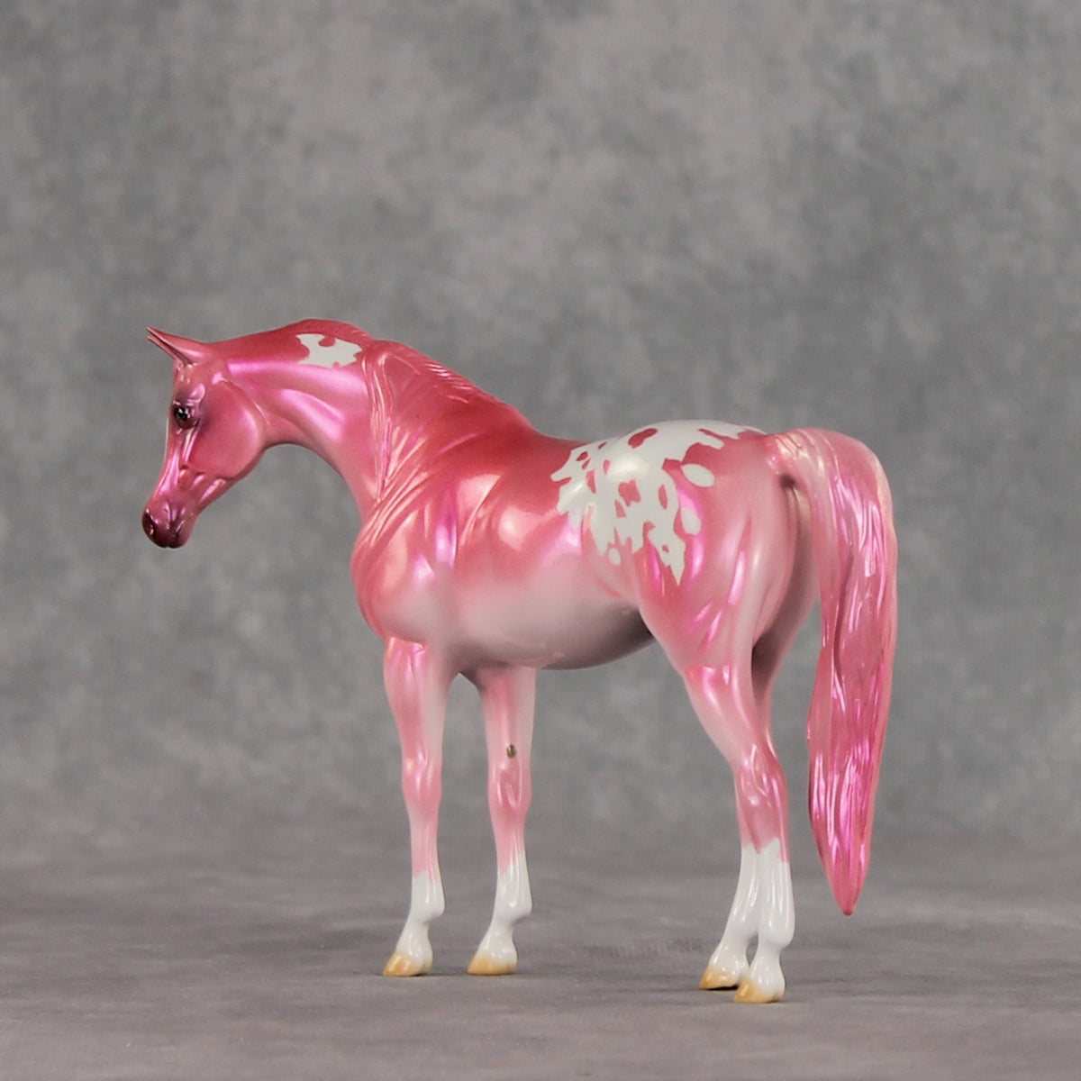 Baddie OOAK Pebble Arabian Mare by Erin Corbett VV26