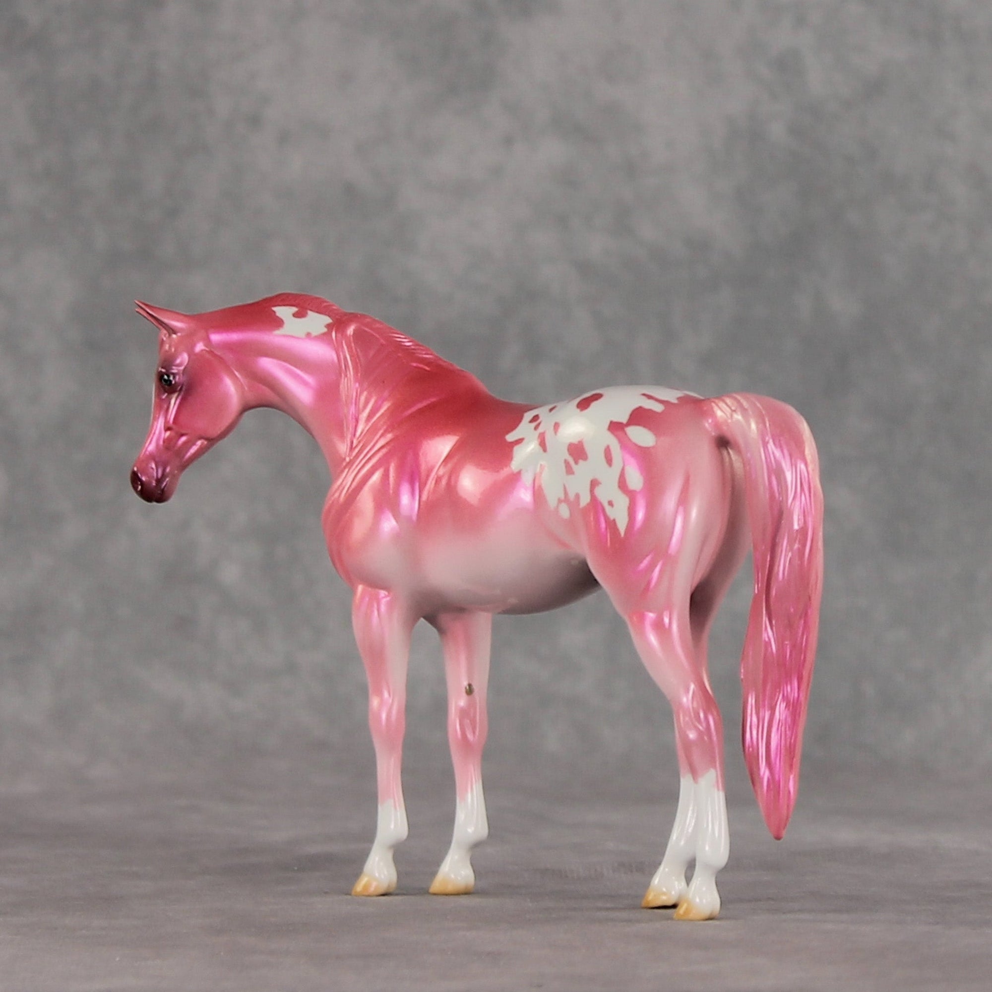 Baddie OOAK Pebble Arabian Mare by Erin Corbett VV26
