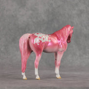 Baddie OOAK Pebble Arabian Mare by Erin Corbett VV26