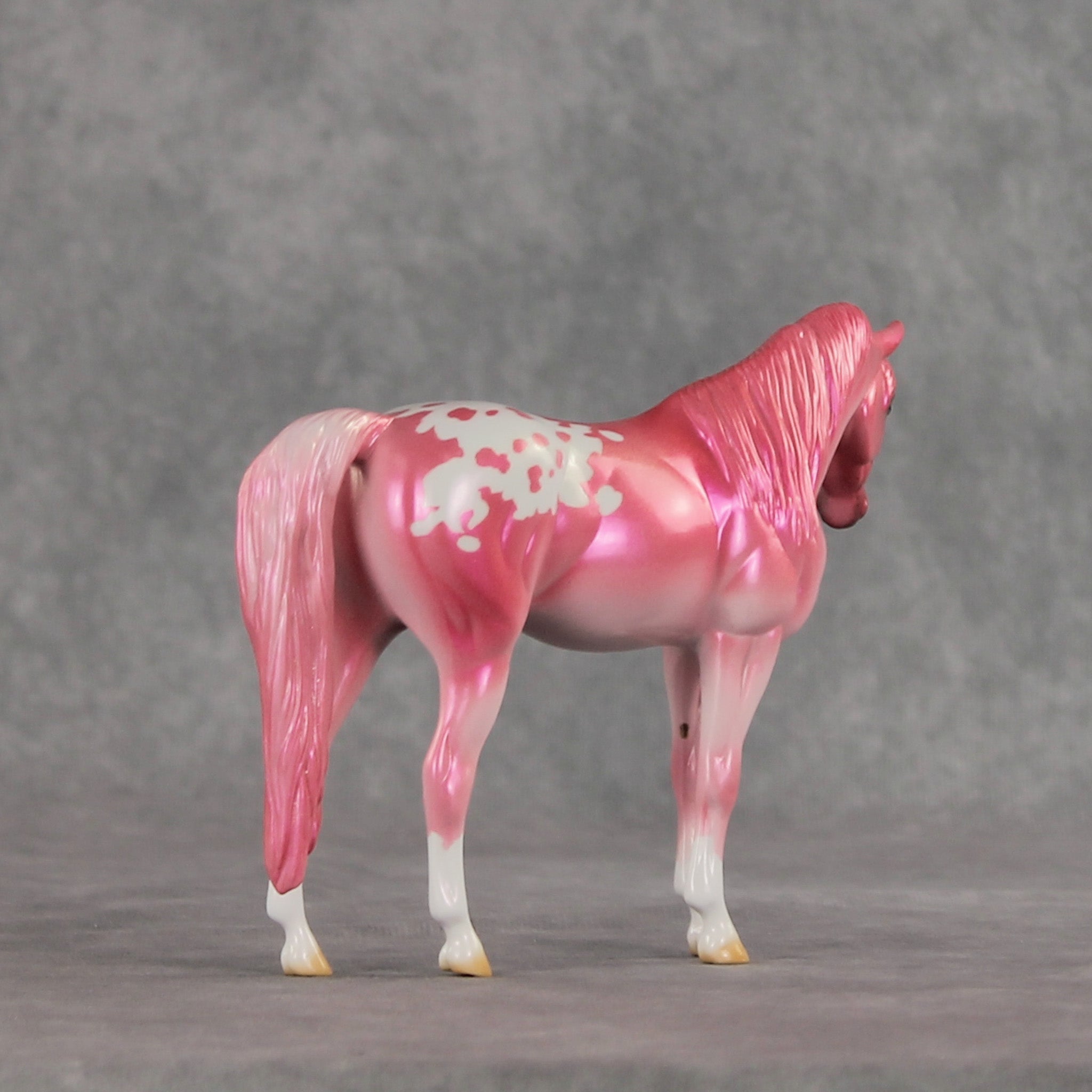 Baddie OOAK Pebble Arabian Mare by Erin Corbett VV26