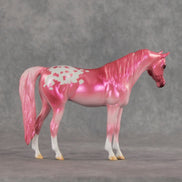 Baddie OOAK Pebble Arabian Mare by Erin Corbett VV26